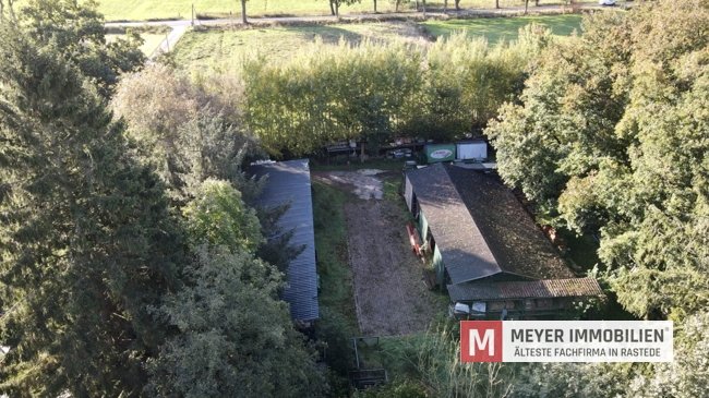 Resthof mit 4 Wohneinheiten auf 3,8 ha Grünland in idyllischer Lage von Salzendeich (Obj.-Nr.: 6449)