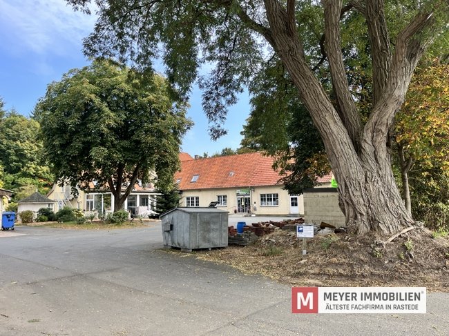 Wohn- und Gewerbeensemble mit Halle und Mieterträgen auf großem Grundstück (Obj.-Nr. 6559)